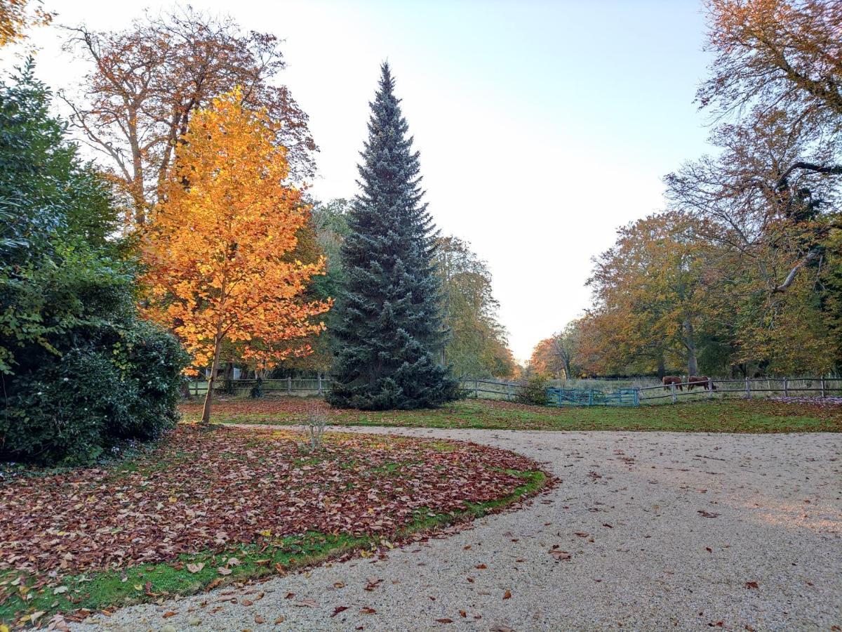 Chambre Sixties Lingevres Zewnętrze zdjęcie